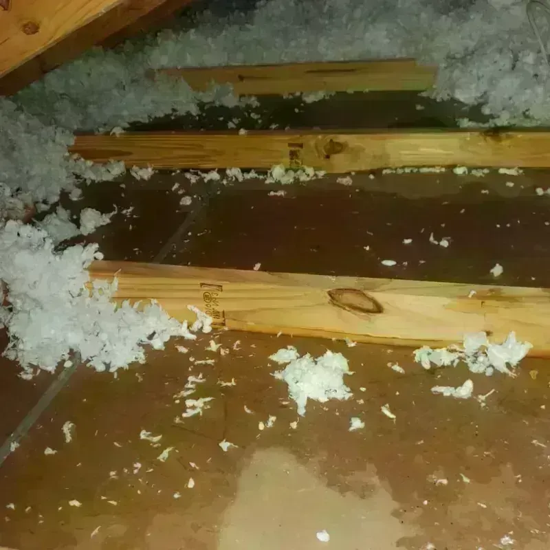 Attic Water Damage in Caswell County, NC